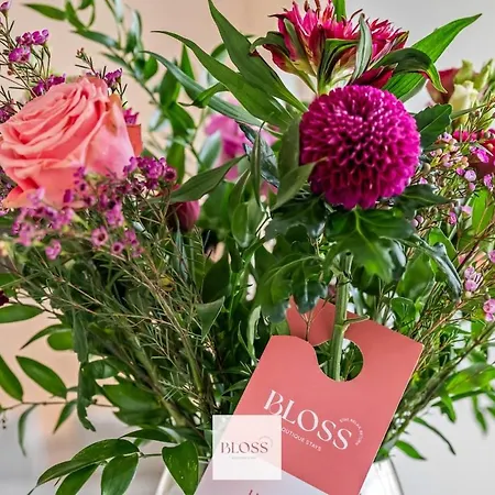 Casa Lila By Bloss, Design In A Prime Location! *